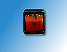 ����鿴��