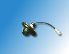 ����鿴��