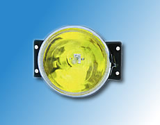 ����鿴��