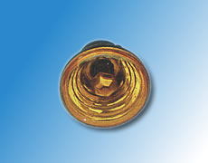 ����鿴��