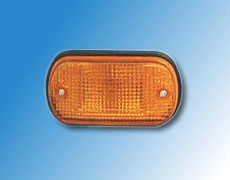 ����鿴��