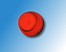 ����鿴��