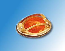 ����鿴��