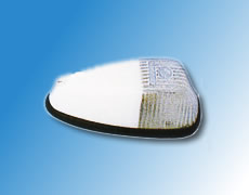 ����鿴��