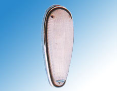 ����鿴��