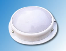 ����鿴��