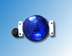 ����鿴��