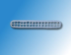 ����鿴��