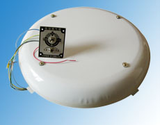 ����鿴��